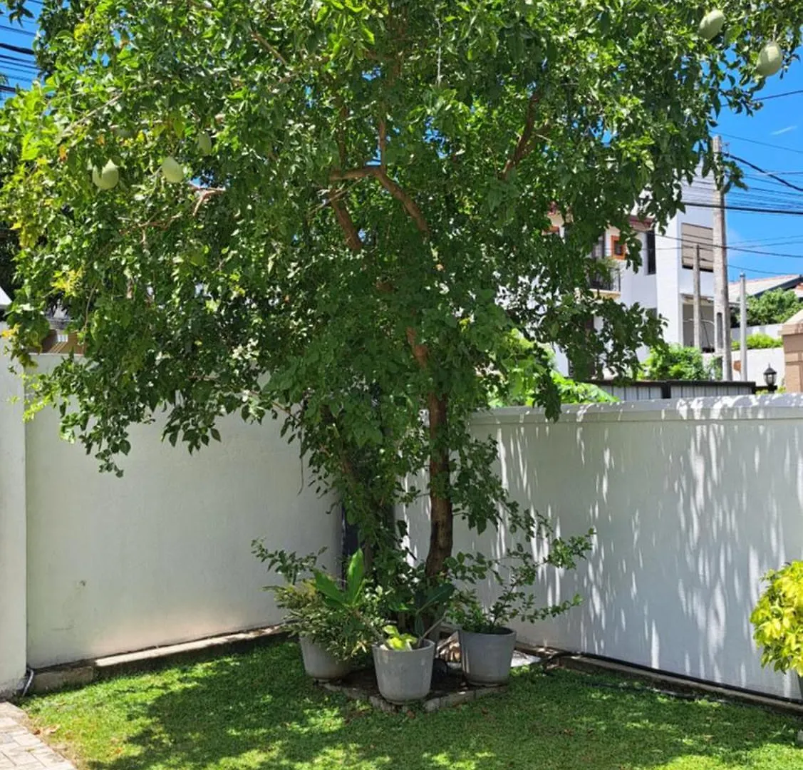 Anne'S Airport Villa Hotel Katunayake Homestay